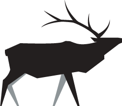 American elk