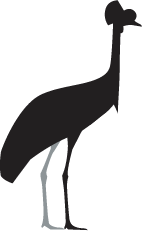 Crowned crane