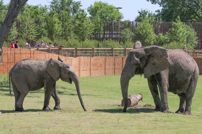 Animal Cams – Sedgwick County Zoo