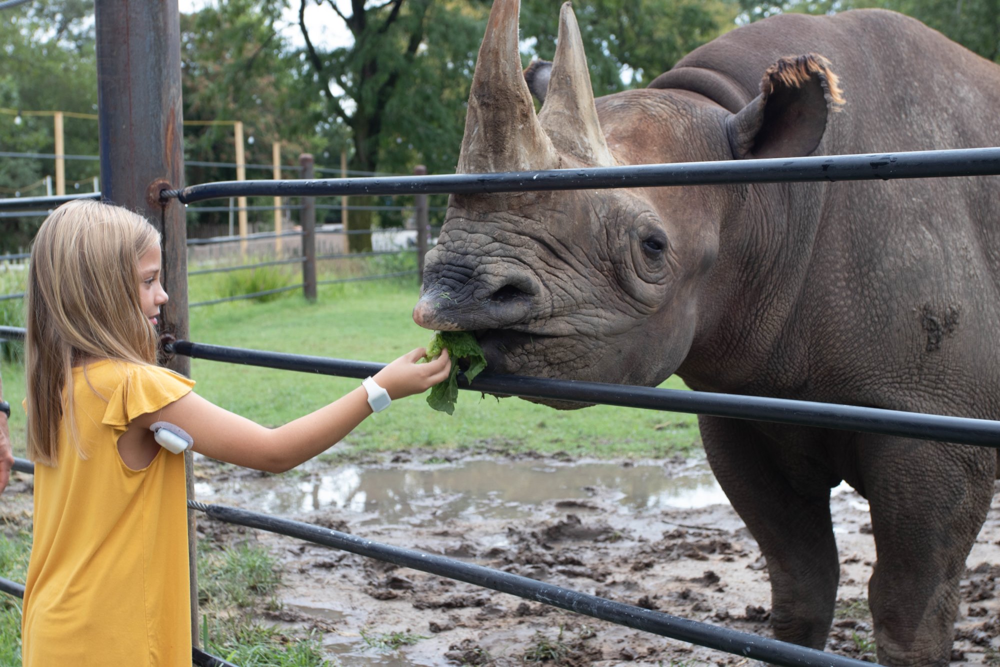 Rhino Encounter – Sedgwick County Zoo