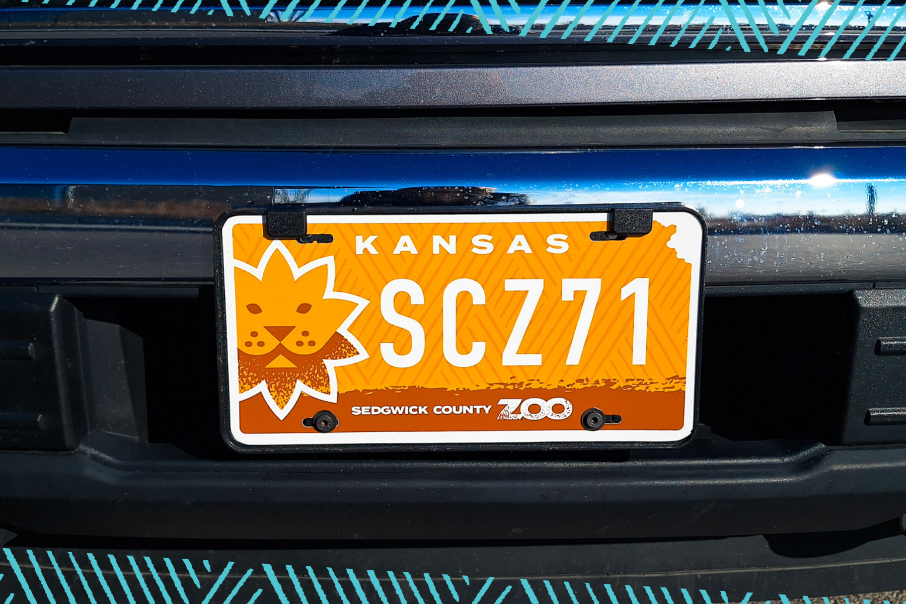 Zoo License Plate