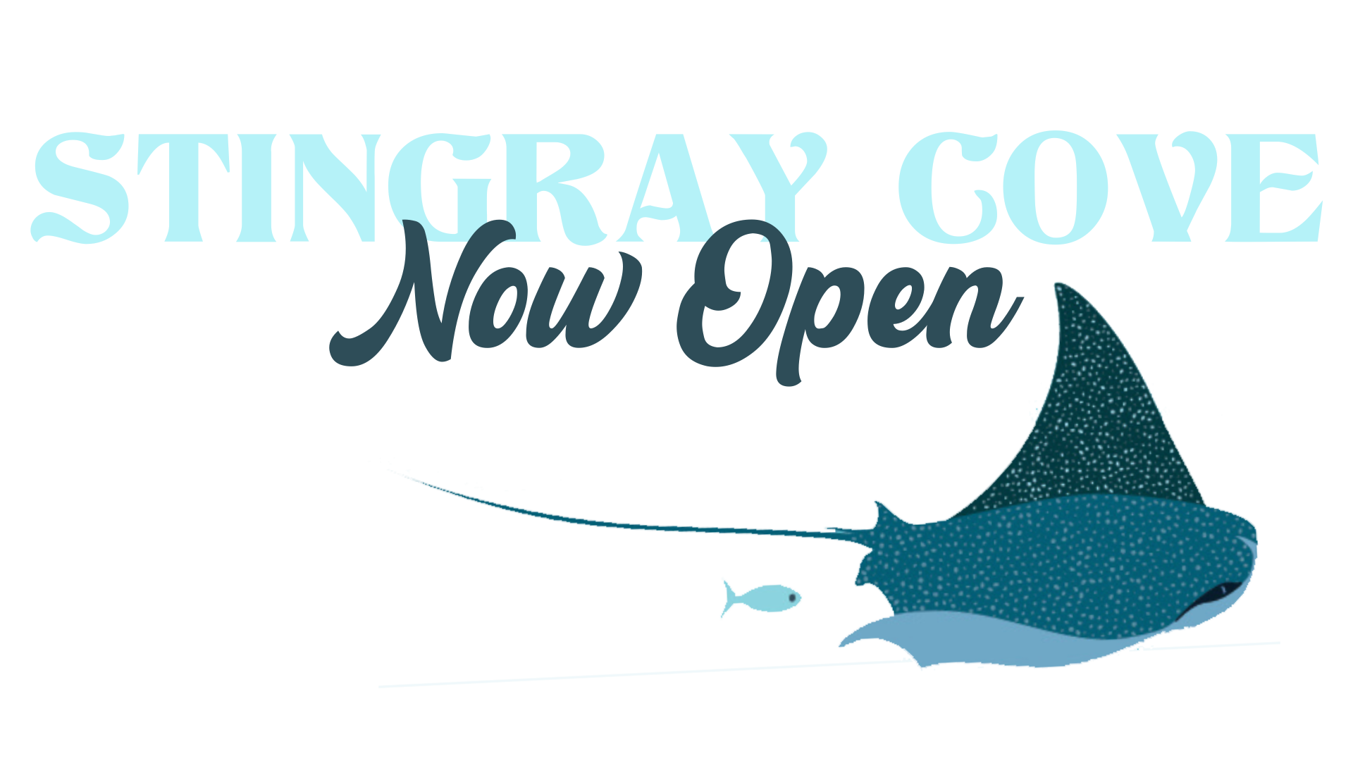 Stingray Cove is NOW OPEN!