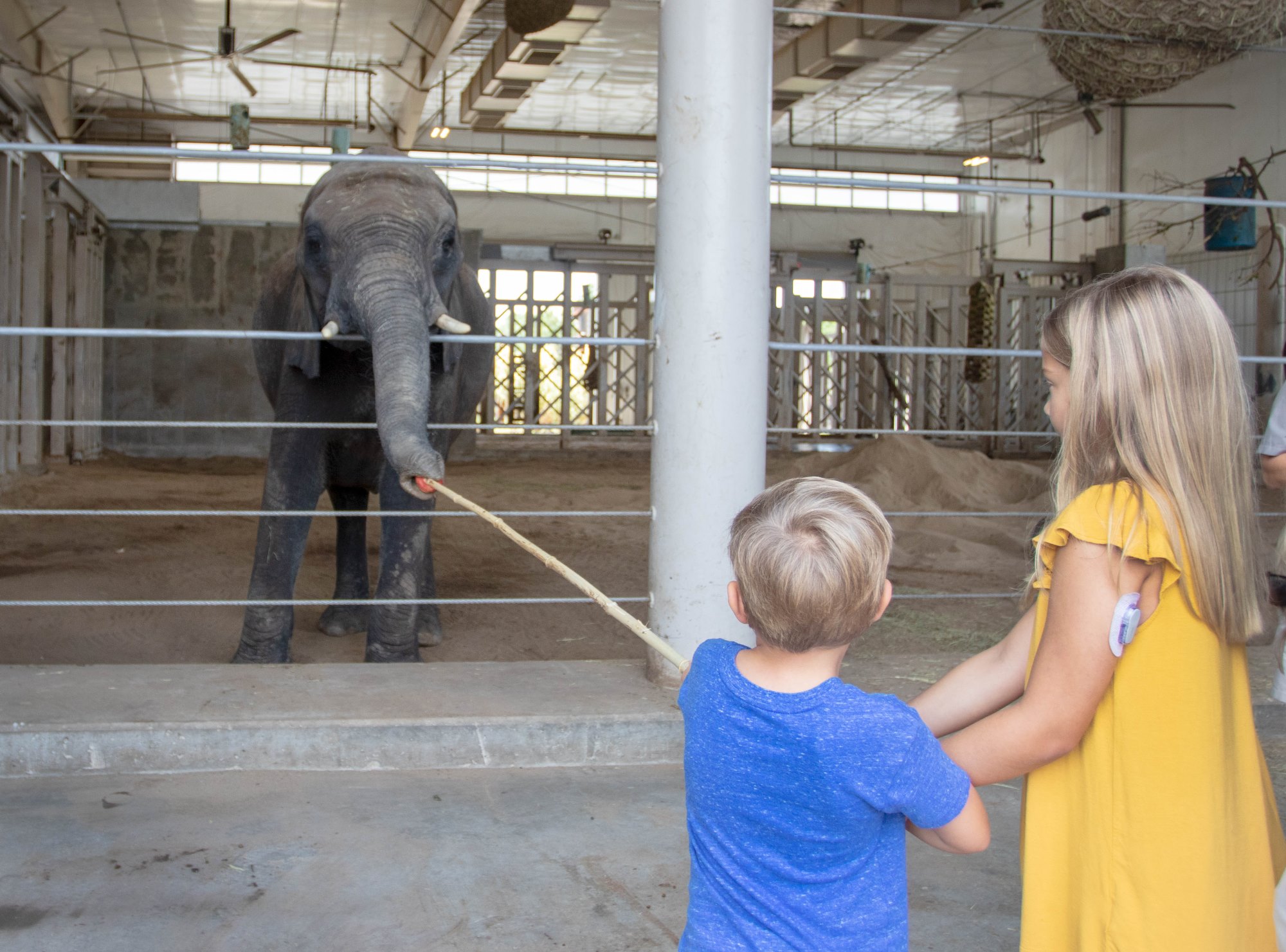 Elephant Encounter – Sedgwick County Zoo