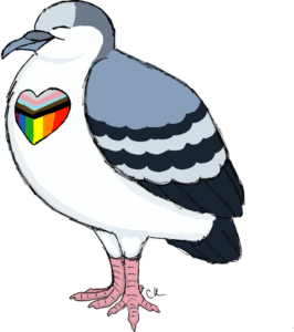 drawing of a bleeding-heart dove with the Pride flag on its chest