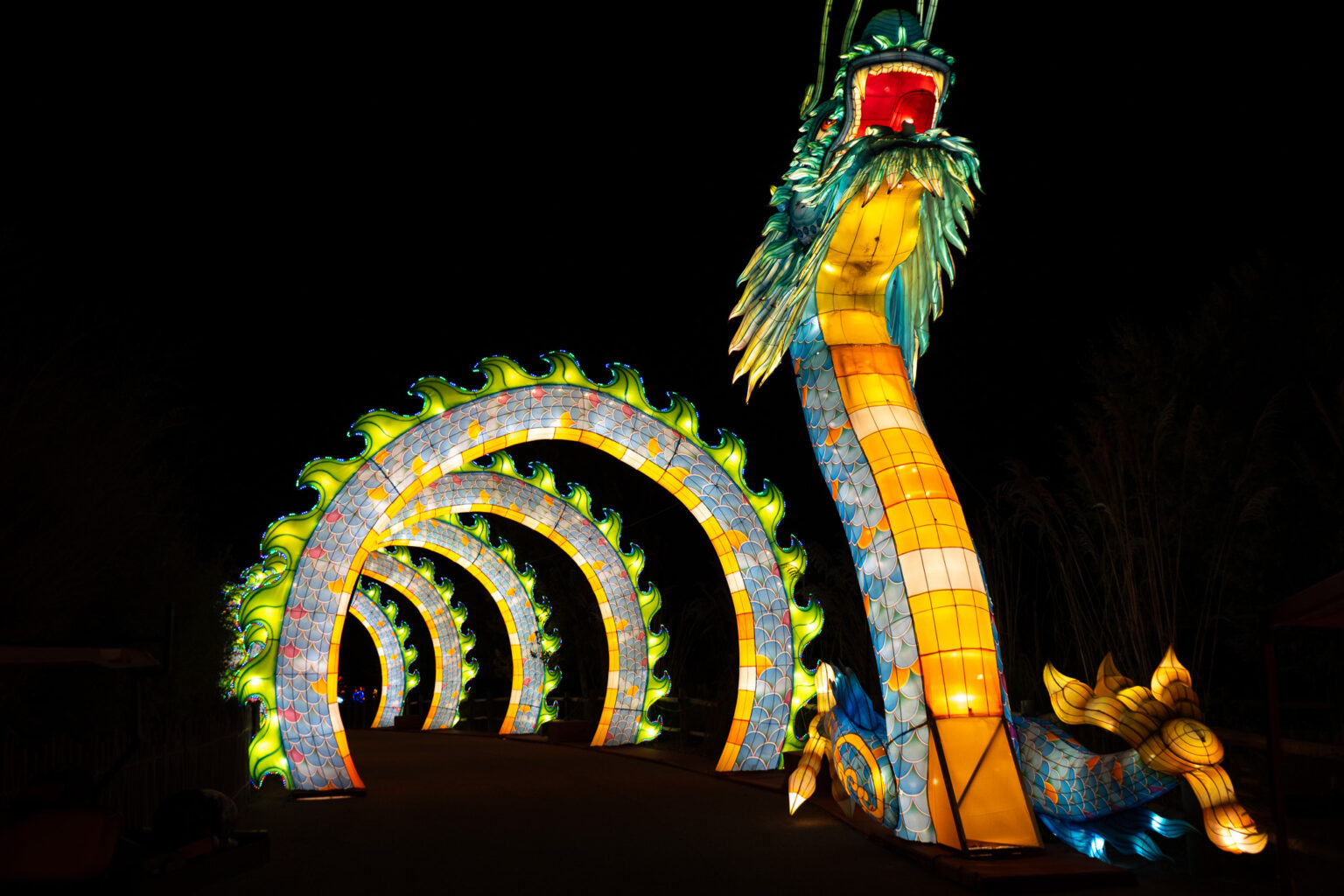 An Enchanting Evening An Inside Look at Wild Lights 2024 Sedgwick