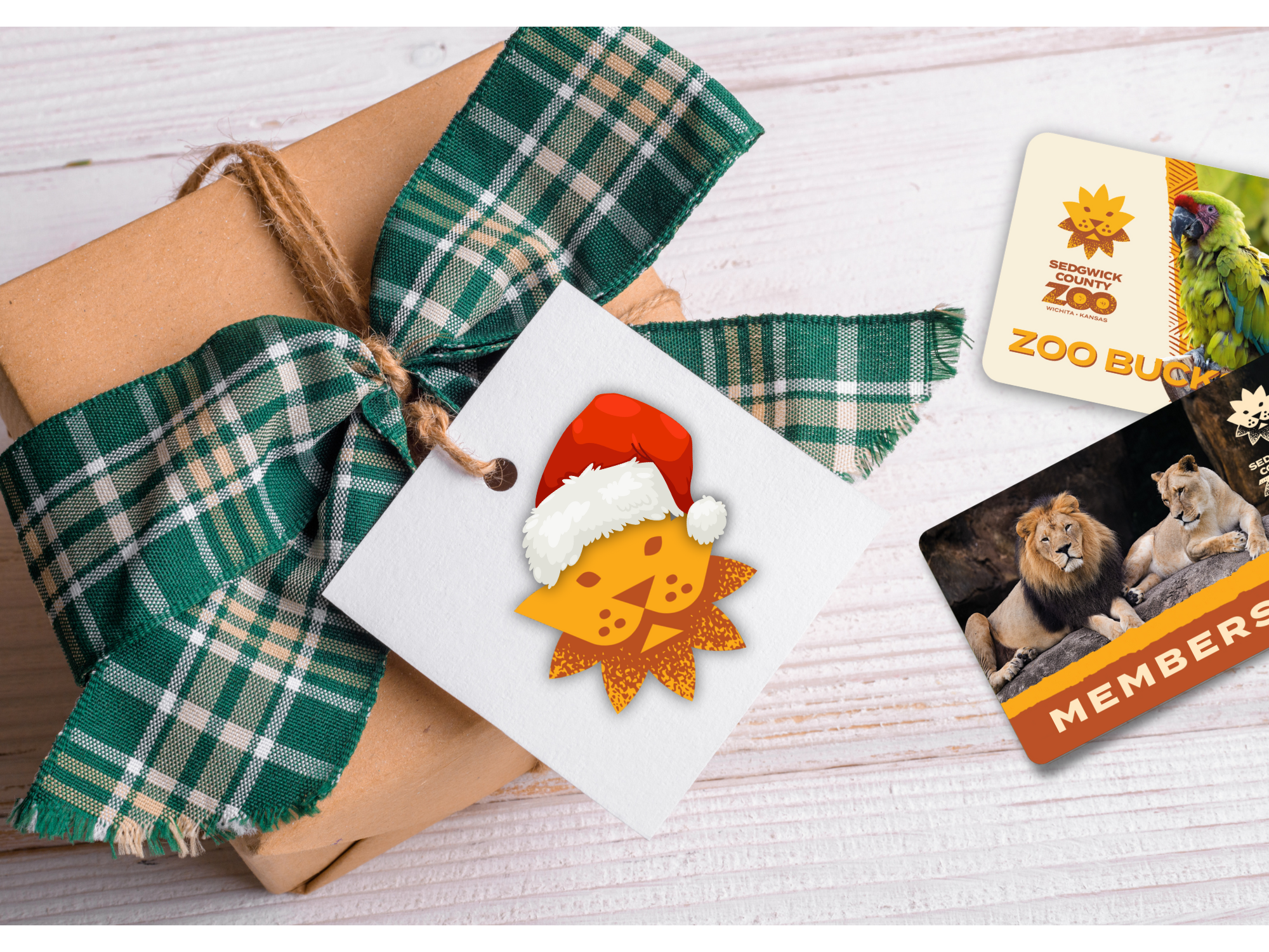 SCZ Holiday Gift Guide: A Savvy Shopper's Best Friend – Sedgwick